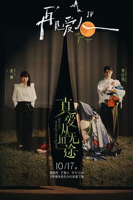 再见爱人第四季海报