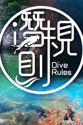 潜·规则粤语海报